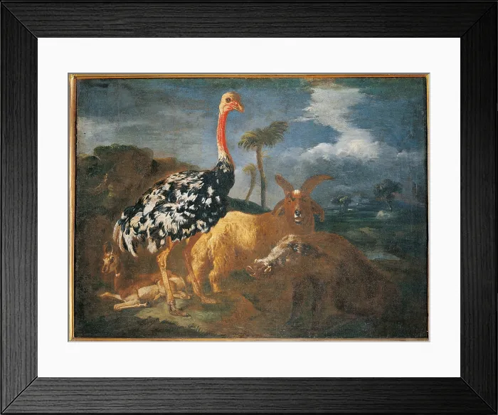 Framed Print : Gazelle, Lady, Ostrich, Ram and Wild Boar, by attributed to Master of Palazzo Lonati Verri, 1650 - 1700 about, 17th Century, oil on canvas, cm 74 x 98 - Italy, Lombardy, Milan Framed Print : Gazelle, Lady, Ostrich, Ram and Wild Boar, by attributed to Master of Palazzo Lonati Verri, 1650 - 1700 about, 17th Century, oil on canvas, cm 74 x 98 - Italy, Lombardy, Milan