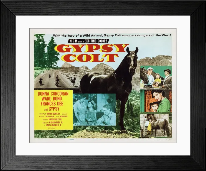 Framed Print : GYPSY COLT, US lobbycard, center from left: Frances Dee, Donna Corcoran, Ward Bond, 1953 Framed Print : GYPSY COLT, US lobbycard, center from left: Frances Dee, Donna Corcoran, Ward Bond, 1953