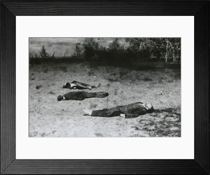Framed Print : Soviet partisans shot dead by German soldiers during German invasion of Russia in Summer 1941. World War 2. World War 2. (BSLOC_2014_8_20) Framed Print : Soviet partisans shot dead by German soldiers during German invasion of Russia in Summer 1941. World War 2. World War 2. (BSLOC_2014_8_20)