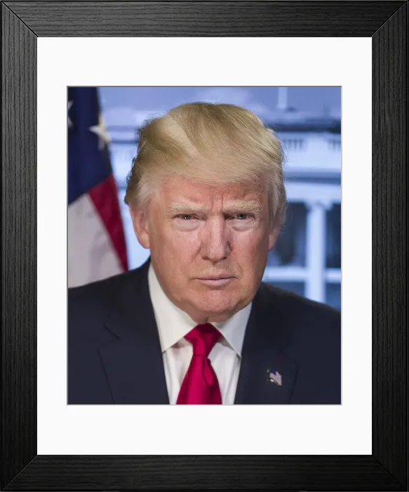 Framed Print : President-elect Donald Trump in a portrait released by the White House on Jan. 20, 2017. Trump is unsmiling, projecting stern and unpleasant emotion