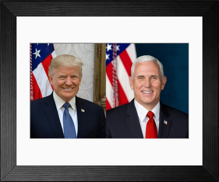 Framed Print : Official photos of President Donald Trump and VP Mike Pence, released by White House, Oct. 31, 2017 (BSLOC_2017_18_157)