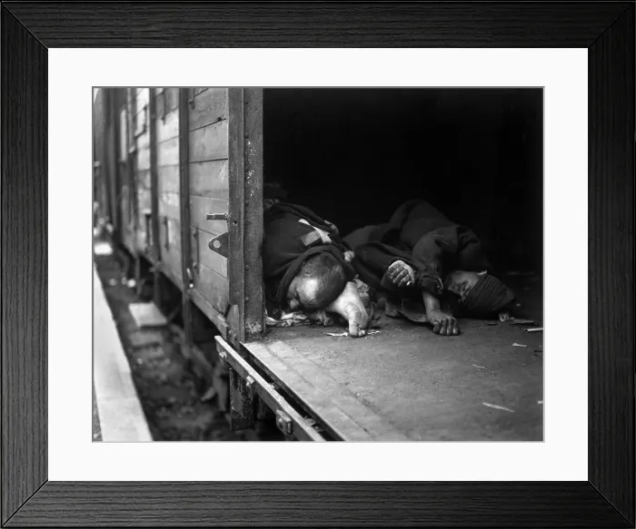 Framed Print : Three bodies of prisoners shot by Nazis in a boxcar by SS troops at Seeshaupt, Germany. The prisoners attempted to escape when the train came under an air attack by U.S Framed Print : Three bodies of prisoners shot by Nazis in a boxcar by SS troops at Seeshaupt, Germany. The prisoners attempted to escape when the train came under an air attack by U.S