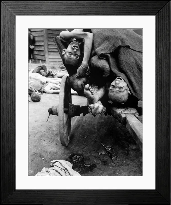 Framed Print : Some of the dead slave laborers at the Mauthausen-Gusen concentration camp. Men were worked in nearby stone quarries until too weak for more, then killed