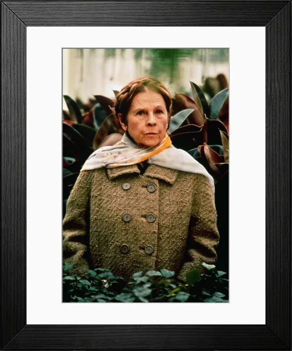 Framed Print : HAROLD AND MAUDE, Ruth Gordon, 1971 Framed Print : HAROLD AND MAUDE, Ruth Gordon, 1971