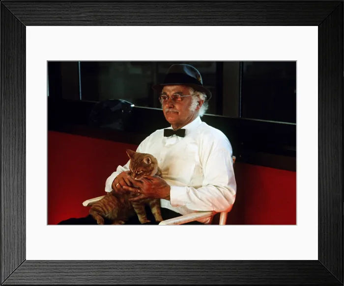 Framed Print : HARRY AND TONTO, Art Carney, 1974. TM & Copyright 20th Century Fox. All rights reserved / courtesy Everett Collection Framed Print : HARRY AND TONTO, Art Carney, 1974. TM & Copyright 20th Century Fox. All rights reserved / courtesy Everett Collection