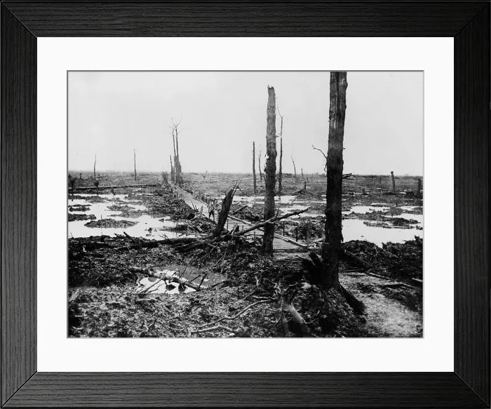 Framed Print : World War 1. No Man's Land - once a forest in Flanders's Fields after four years as a battleground in World War 1. Photo ca. 1919 by F.J. Lamphere Framed Print : World War 1. No Man's Land - once a forest in Flanders's Fields after four years as a battleground in World War 1. Photo ca. 1919 by F.J. Lamphere