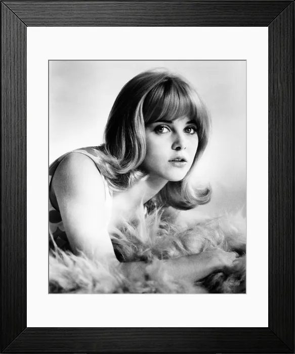 Framed Print : TONY ROME, Sue Lyon, 1967. TM & copyright 20th Century Fox Film Corp. All rights reserved / courtesy Everett Collection