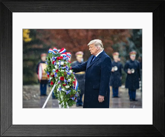 Framed Print : President Donald Trump at the Wreath-Laying Ceremony at the Tomb of the Unknown Soldier, Arlington National Cemetery, Nov. 11, 2020 Framed Print : President Donald Trump at the Wreath-Laying Ceremony at the Tomb of the Unknown Soldier, Arlington National Cemetery, Nov. 11, 2020