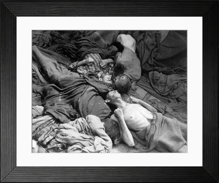 Framed Print : Starved bodies of prisoners in a freight car at Dachau on April 30, 1945. U.S Framed Print : Starved bodies of prisoners in a freight car at Dachau on April 30, 1945. U.S