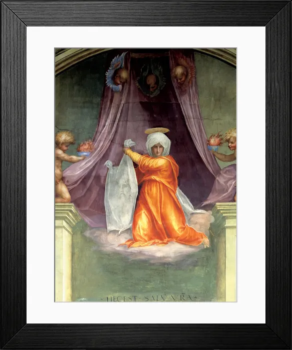 Framed Print : Carrucci Jacopo know as Pontormo, Santa Maria Novella: decoration of the Cappella del Papa (Pope's Chapel), 1515, 16th Century, fresco, Italy, Tuscany, Florence Framed Print : Carrucci Jacopo know as Pontormo, Santa Maria Novella: decoration of the Cappella del Papa (Pope's Chapel), 1515, 16th Century, fresco, Italy, Tuscany, Florence