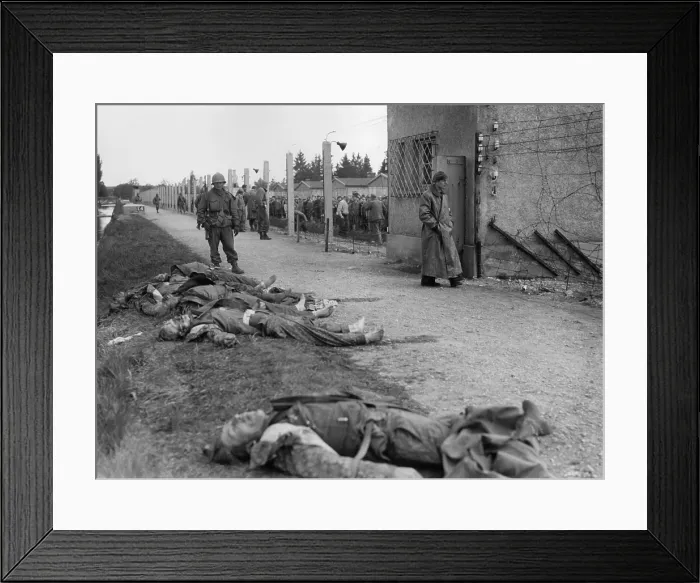 Framed Print : Bodies of former SS guards lie on the bank of a moat surrounding the Dachau Concentration Camp. Liberated prisoner's killed the guards by beating them to death Framed Print : Bodies of former SS guards lie on the bank of a moat surrounding the Dachau Concentration Camp. Liberated prisoner's killed the guards by beating them to death