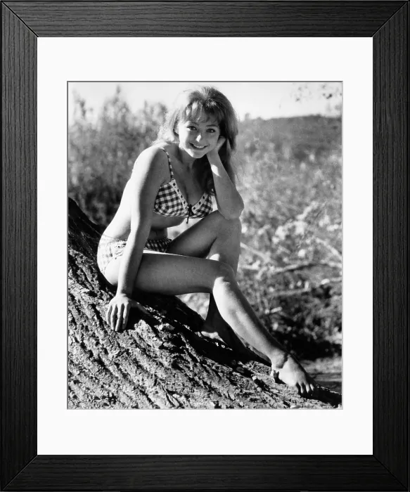 Framed Print : TOWN WITHOUT PITY, Christine Kaufmann, 1961 Framed Print : TOWN WITHOUT PITY, Christine Kaufmann, 1961