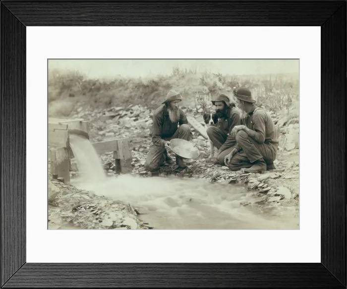 Framed Print : Three men panning for gold in a stream in the Black Hills of South Dakota in 1889. Old timers, Spriggs, Lamb, and Dillon may be die hard survivors from the Gold Rush of 1876