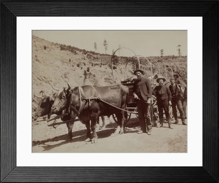 Framed Print : Five prospectors setting out to the South Dakota gold fields with a wagon pulled by oxen. Photo by John Grabill, Jan. 1891 (BSLOC_2017_18_53)