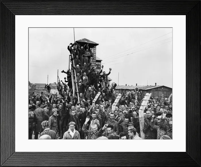 Framed Print : Dachau Prisoners wave and cheer the Seventh US Army liberators. April 29, 1945, World War 2 (BSLOC_2015_13_18)