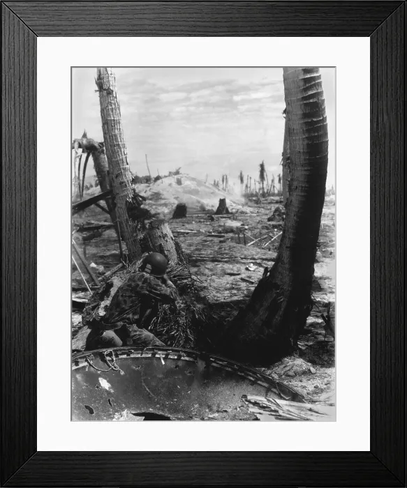 Framed Print : U.S. Marine shoots at a Japanese pill box from behind a blasted tree in the Battle of Tarawa. 4, 500 Japanese troops fought from fortified positions most until their death. Nov