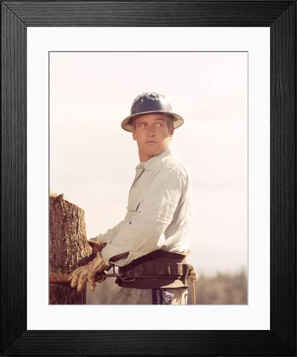 Framed Print : SOMETIMES A GREAT NOTION, Paul Newman, 1971 Framed Print : SOMETIMES A GREAT NOTION, Paul Newman, 1971