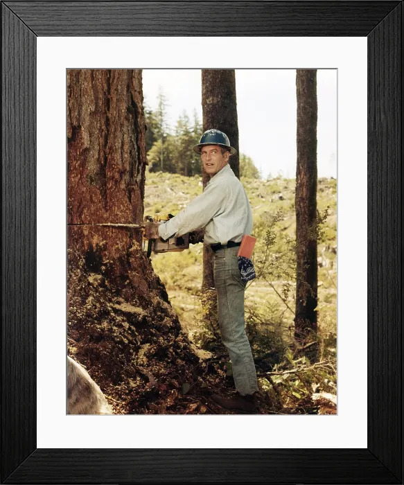 Framed Print : SOMETIMES A GREAT NOTION, Paul Newman, 1971