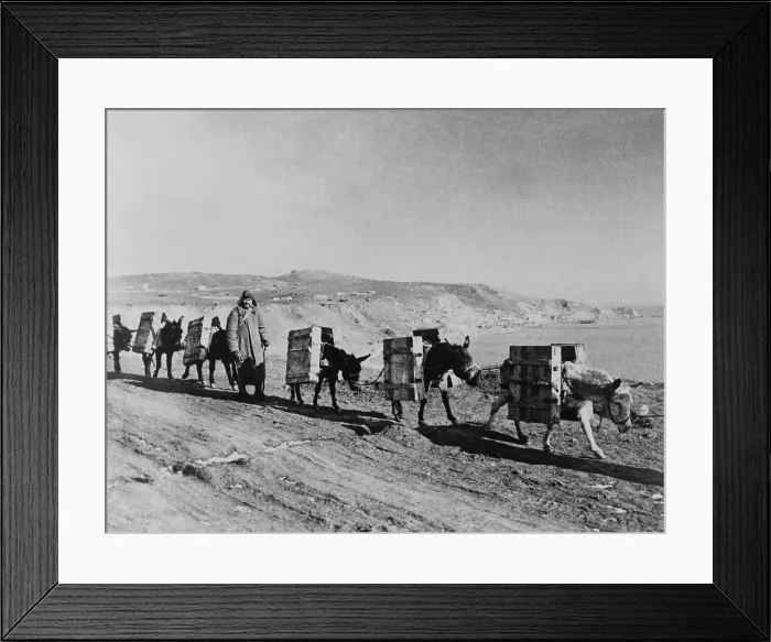 Framed Print : Russian soldier with a pack train of donkeys during World War 2. Ca. 1945 photo by Evgenii Khaldei. (BSLOC_2013-12_43)