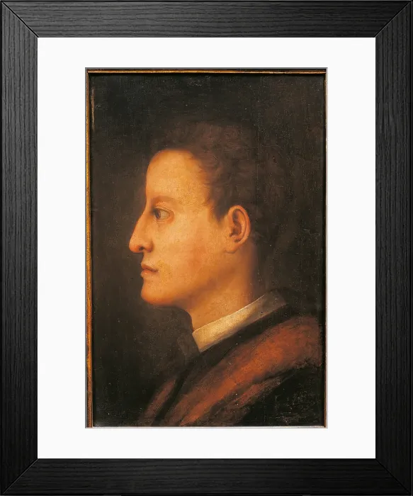 Framed Print : Cosimo de Medici I as a Young Man, by Jacopo Carrucci know as Pontormo, 1537 about, 16th Century, oil on panel, cm 47 x 31 - Italy, Tuscany, Florence, Uffizi Gallery. All Framed Print : Cosimo de Medici I as a Young Man, by Jacopo Carrucci know as Pontormo, 1537 about, 16th Century, oil on panel, cm 47 x 31 - Italy, Tuscany, Florence, Uffizi Gallery. All