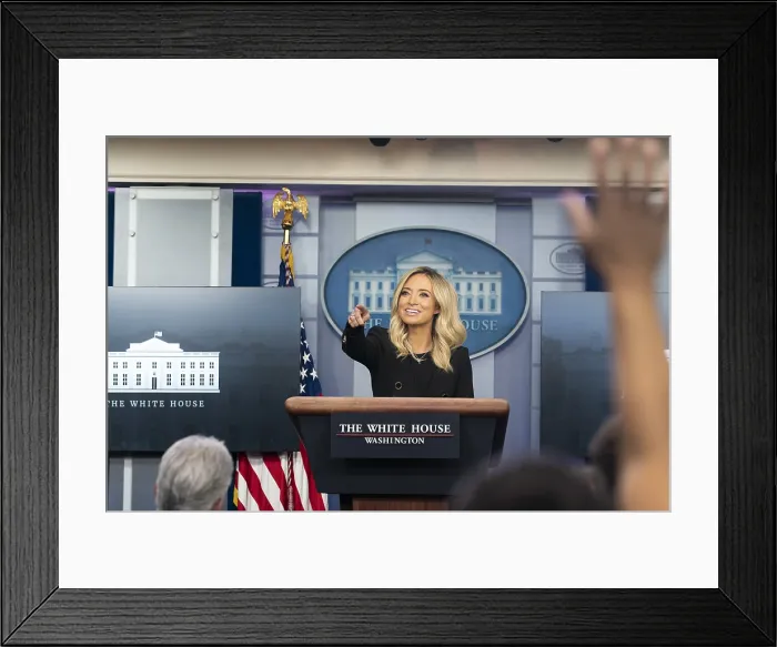 Framed Print : President Trumps 4th White House Press secretary, Kayleigh McEnany, points to a reporter at a White House press briefing Friday, May 1, 2020 (BSLOC_2020_4_38) Framed Print : President Trumps 4th White House Press secretary, Kayleigh McEnany, points to a reporter at a White House press briefing Friday, May 1, 2020 (BSLOC_2020_4_38)