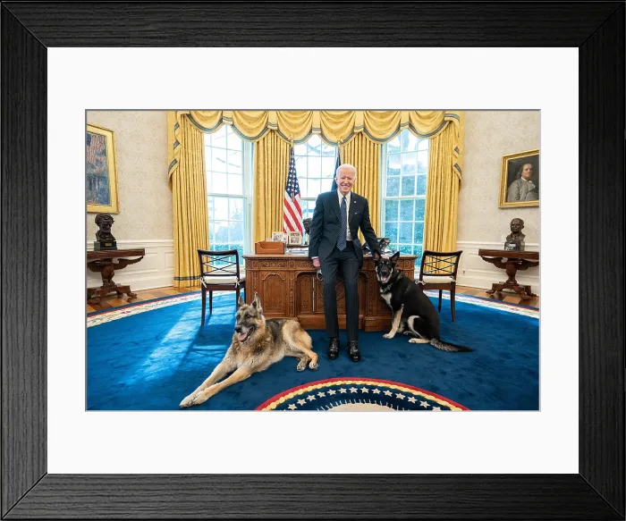Framed Print : President Joe Biden with the Biden family dogs, Champ and Major, in the Oval Office of the White House, Feb. 9, 2021 (BSLOC_2021_4_15)