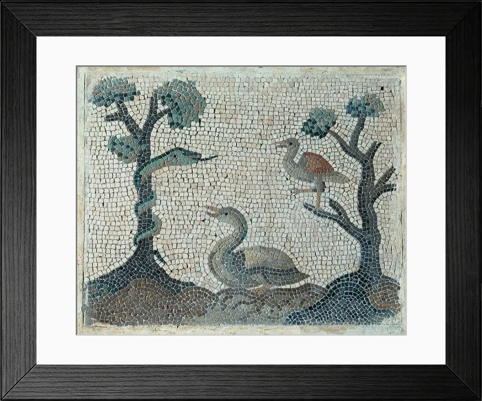 Framed Print : Unknown artist, Emblemata with water-fowls, 18th Century, polychrome mosaic, Italy, Lazio, Rome Framed Print : Unknown artist, Emblemata with water-fowls, 18th Century, polychrome mosaic, Italy, Lazio, Rome