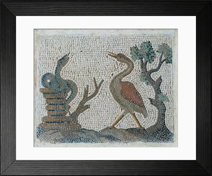 Framed Print : Unknown artist, Emblemata with water-fowls, 18th Century, polychrome mosaic, Italy, Lazio, Rome Framed Print : Unknown artist, Emblemata with water-fowls, 18th Century, polychrome mosaic, Italy, Lazio, Rome