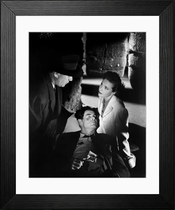 Framed Print : THE WOMAN ON PIER 13, (aka I MARRIED A COMMUNIST), Robert Ryan, Laraine Day, 1949 Framed Print : THE WOMAN ON PIER 13, (aka I MARRIED A COMMUNIST), Robert Ryan, Laraine Day, 1949