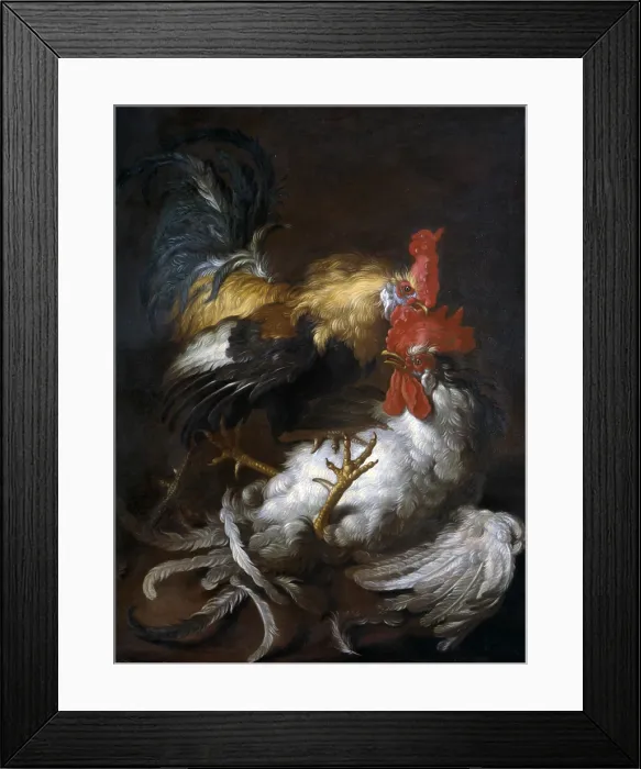 Framed Print : Cockfight, by Giovanni Agostino Cassana also known as Abate Cassana, 17th - 18th Century, oil on canvas, 91 x 73, 5 cm - Italy, Veneto, Padua, Civic Museums, Eremitani Complex