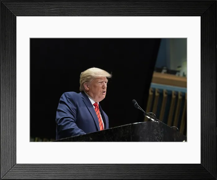 Framed Print : President Donald Trump addresses the 74th session of the United Nations General Assembly, Sept. 24, 2019