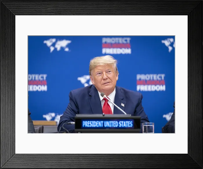 Framed Print : President Donald Trump hosted an American event at the UN, promoting religious freedom, Sept. 23, 2019 (BSLOC_2019_8_216) Framed Print : President Donald Trump hosted an American event at the UN, promoting religious freedom, Sept. 23, 2019 (BSLOC_2019_8_216)