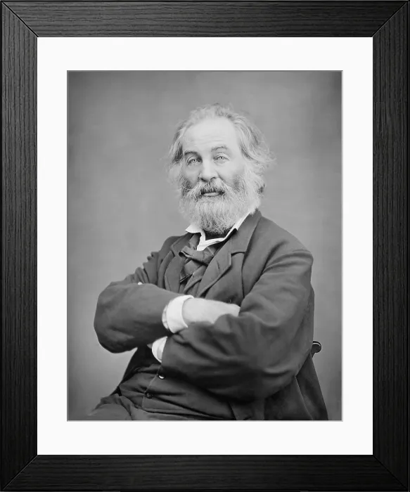 Framed Print : Walt Whitman, American 19th century poet in a portrait by Mathew Brady. His work was influenced by two literary movements, transcendentalism, and realism Framed Print : Walt Whitman, American 19th century poet in a portrait by Mathew Brady. His work was influenced by two literary movements, transcendentalism, and realism