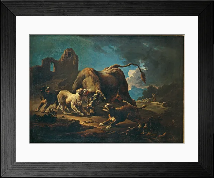 Framed Print : Fight between some dogs and a bull, by Anonymous related to Philipp Peter Roos also called Rosa from Tivoli, ca