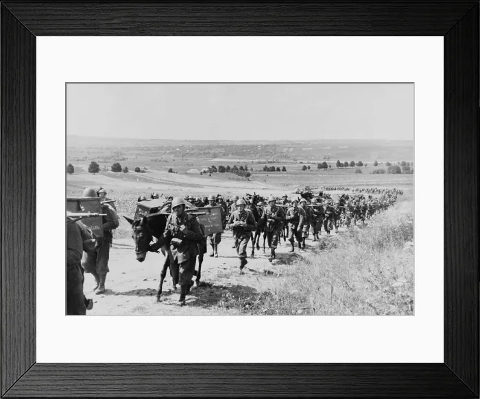 Framed Print : Italian expeditionary troops and artillery march to the Eastern front during World War 2. July 1941 Framed Print : Italian expeditionary troops and artillery march to the Eastern front during World War 2. July 1941