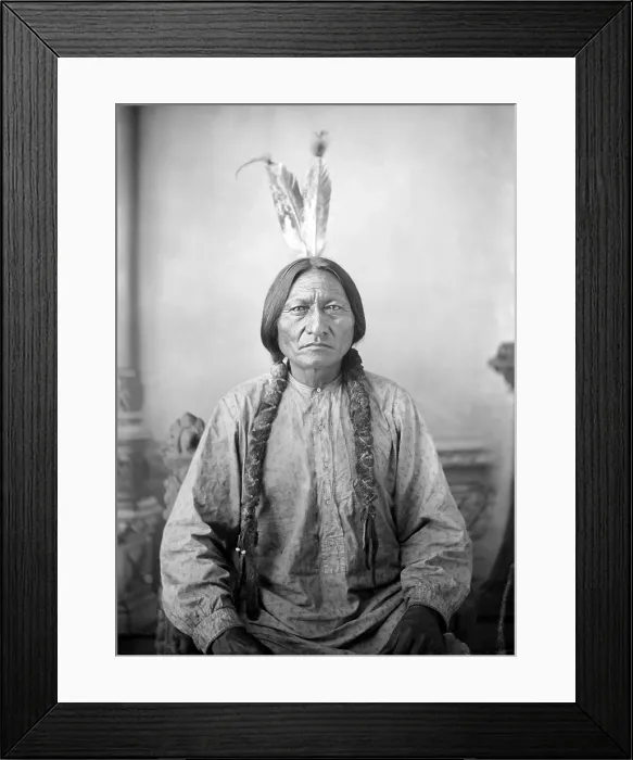 Framed Print : Sitting Bull, ca. 1883, photo by David Francis Barry Framed Print : Sitting Bull, ca. 1883, photo by David Francis Barry