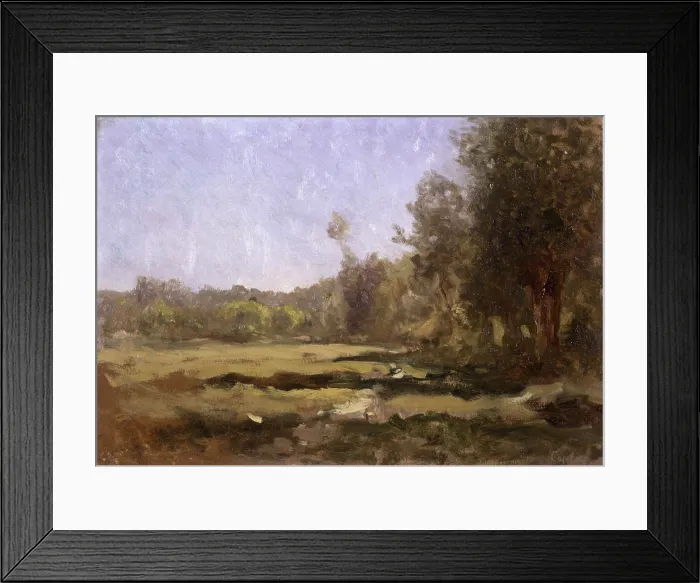 Framed Print : Green Clearing (Radura Verde), by Demetrio Cosola, 1870 - 1895, 19th Century, oil on cardboard - Private collection. Whole artwork view Framed Print : Green Clearing (Radura Verde), by Demetrio Cosola, 1870 - 1895, 19th Century, oil on cardboard - Private collection. Whole artwork view