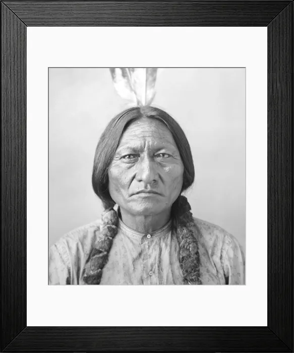Framed Print : Sitting Bull, ca. 1883, photo by David Francis Barry Framed Print : Sitting Bull, ca. 1883, photo by David Francis Barry