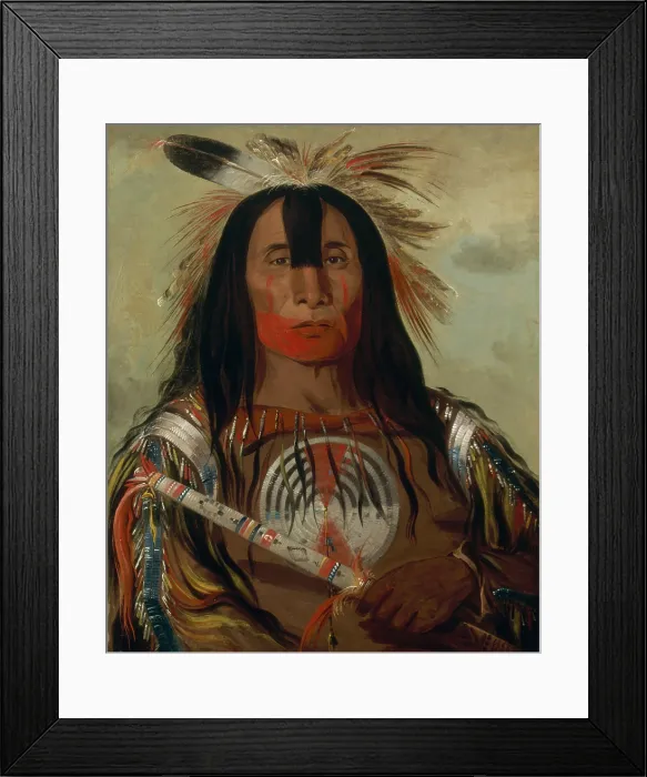 Framed Print : STU-MICK-O-SUCKS, BUFFALO BULLS BACK FAT, HEAD CHIEF, BLOOD TRIBE, by George Catlin, 1832, painting, oil on canvas