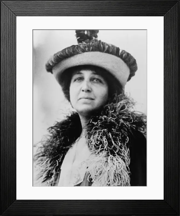 Framed Print : Katharine Dexter McCormick, suffragette and birth control advocate, ca. 1915-25. With inherited wealth she funded Gregory Pincus development of the birth control pill Framed Print : Katharine Dexter McCormick, suffragette and birth control advocate, ca. 1915-25. With inherited wealth she funded Gregory Pincus development of the birth control pill
