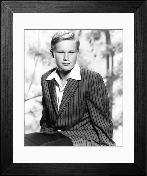 Framed Print : THE MISSOURI TRAVELLER, Brandon De Wilde, 1958 Framed Print : THE MISSOURI TRAVELLER, Brandon De Wilde, 1958