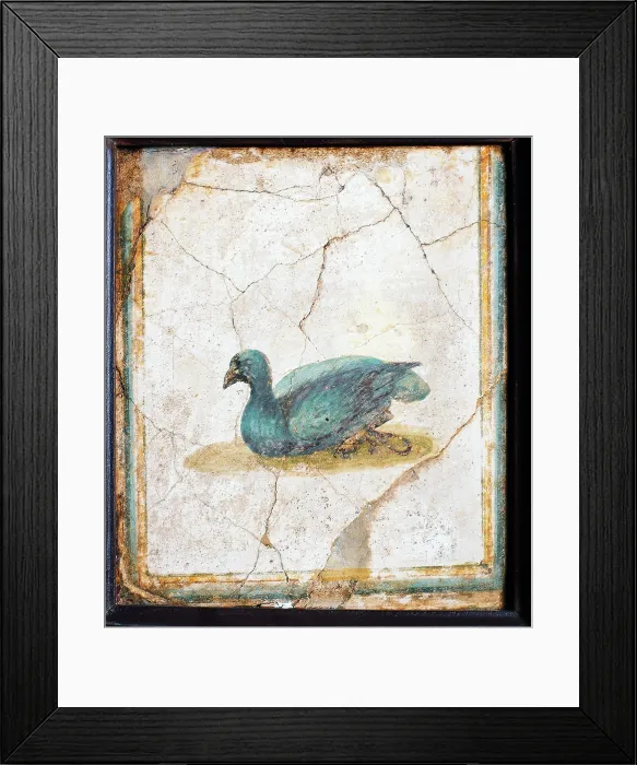 Framed Print : Bird, by unknown artist, 10-45, 1st Century A.D. ripped fresco, 26 x 22 cm - Italy, Campania, Naples, National Archaeological Museum, Room LXXVII, inv. 8740. Whole artwork view