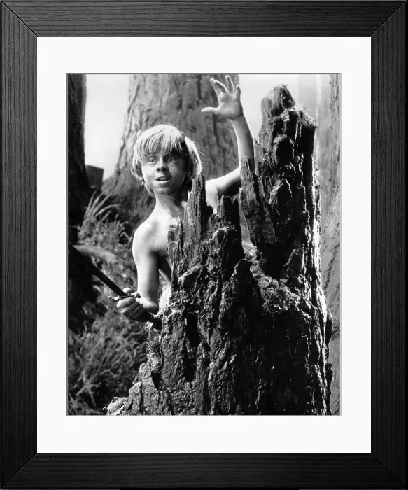 Framed Print : A MIDSUMMER NIGHT'S DREAM, Mickey Rooney, 1935 Framed Print : A MIDSUMMER NIGHT'S DREAM, Mickey Rooney, 1935