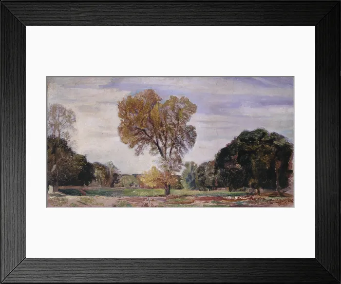 Framed Print : Elm and live oaks (Olmo ed elci), by Armando Spadini, 1920, 20th Century, oil on canvas - Private Collection. Whole artwork view Framed Print : Elm and live oaks (Olmo ed elci), by Armando Spadini, 1920, 20th Century, oil on canvas - Private Collection. Whole artwork view