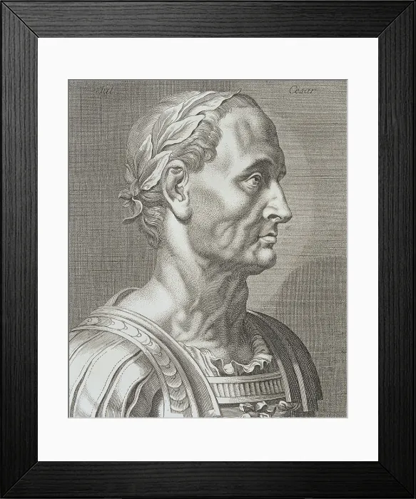 Framed Print : Essay on Physiognomy Intended to Show Man (Essai sur la phsyiognomonie destin faire connoitre l'Homme & le faire aimer), after Johann Kaspar Lavater, 1781 - 1803
