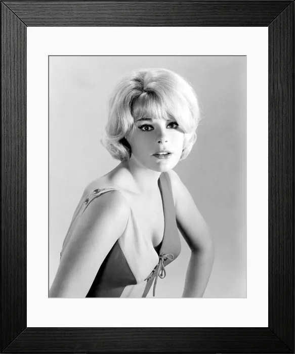 Framed Print : THE MONEY TRAP, Elke Sommer, 1965