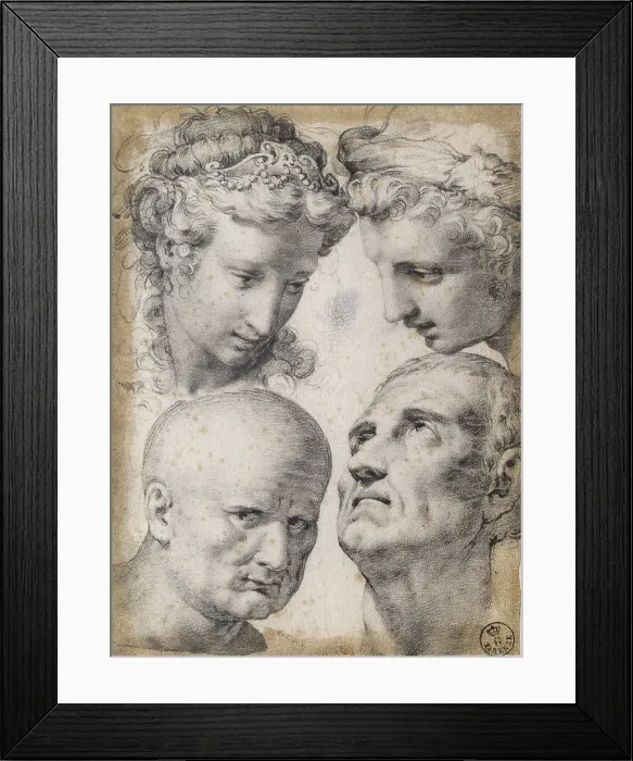 Framed Print : Four studies of the head, by Francesco Morandini said Poppi, 1571, 16th century, black pencil on white paper. - Italy, Tuscany, Florence, Uffizi Prints and Drawings Department Framed Print : Four studies of the head, by Francesco Morandini said Poppi, 1571, 16th century, black pencil on white paper. - Italy, Tuscany, Florence, Uffizi Prints and Drawings Department