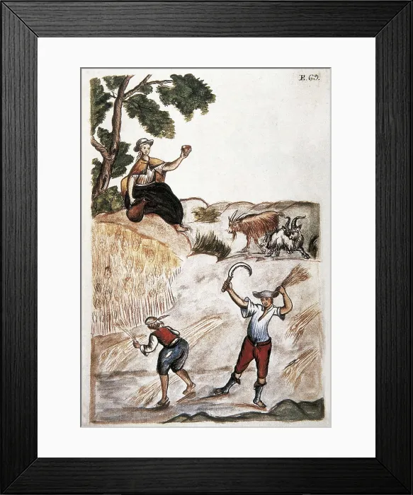 Framed Print : Trujillo del Per (end 18th c.): drawings and watercolours made by order of the bishop D. Baltasar Jaime Martnez Compan. Indians reaping wheat. Engraving. SPAIN. Madrid