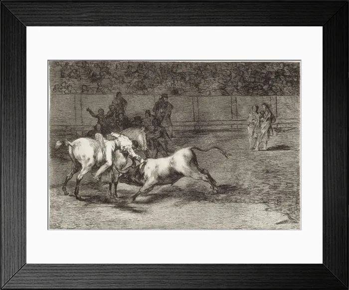 Framed Print : GOYA Y LUCIENTES, Francisco de (1746-1828). Mariano Ceballos, alias 'the Indian', kills the bull from his horse. 1816. Plate 23 of 'The Art of Bullfighting'