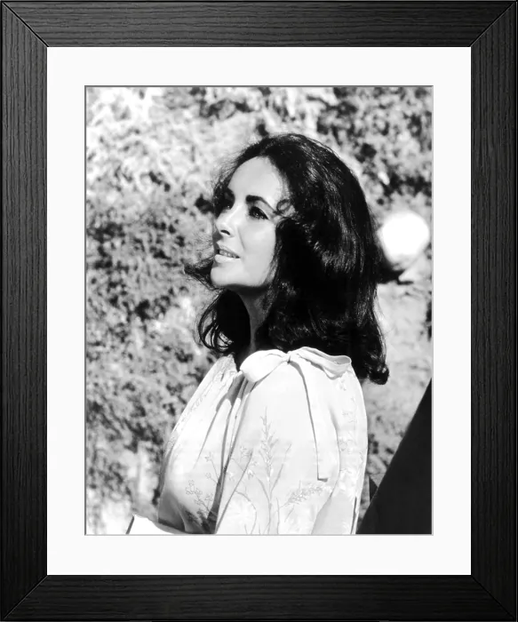 Framed Print : THE SANDPIPER, Elizabeth Taylor, 1965 Framed Print : THE SANDPIPER, Elizabeth Taylor, 1965